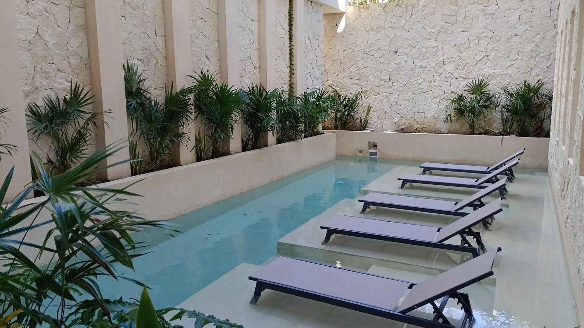 טולום Private Pool - 1 Bedroom Condo - 2 To 4 People 0*,  מקסיקו
