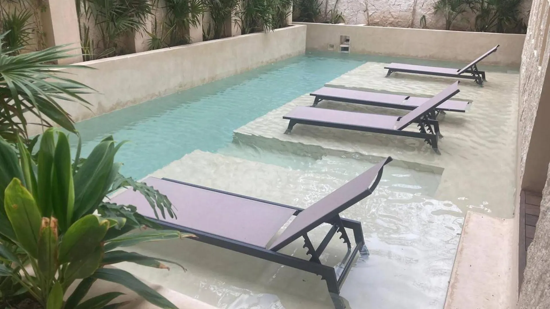 דירה טולום Private Pool - 1 Bedroom Condo - 2 To 4 People